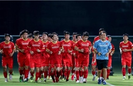 HLV UAE khẳng định trận đấu đỉnh cao với Việt Nam