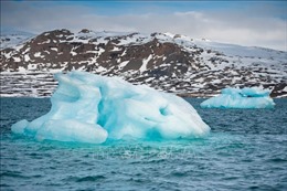 Biến đổi khí hậu có thể làm tăng nguy cơ lây lan các virus từ Bắc Cực