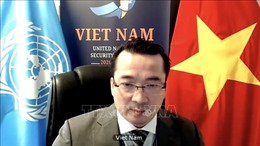 Việt Nam ủng hộ tăng cường hợp tác giữa Hội đồng Bảo an và AUPSC