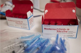 EU mua thêm 150 triệu liều vaccine Moderna