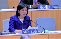 Việt Nam và các nước Nhóm Cairns thúc đẩy cải cách quy tắc về thương mại nông nghiệp