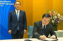 Nhật Bản chính thức phê chuẩn Hiệp định RCEP