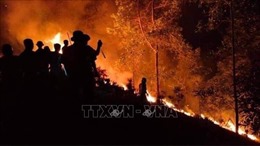 Khống chế cháy rừng tại nơi giáp ranh giữa Đà Nẵng - Thừa Thiên Huế