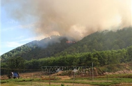 Thừa Thiên – Huế: Khống chế đám cháy rừng gần Trạm Kiểm định đạn dược T264-K890