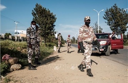 Ethiopia: Lực lượng nổi dậy ở Tigray nhất trí ngừng bắn