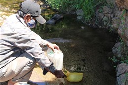 Vùng nông thôn Bình Định thiếu nước sinh hoạt mùa nắng nóng