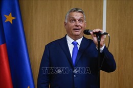Điện mừng Thủ tướng Hungary Orbán Viktor