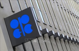 OPEC+ hoãn họp do bất đồng về chính sách sản lượng