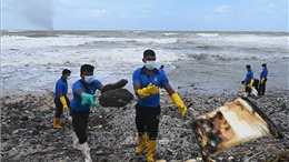 Hàng trăm rùa biển chết sau thảm họa đắm tàu ở Sri Lanka