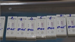 Quảng Ninh lập đường dây nóng về kinh doanh kit test nhanh SARS-CoV-2