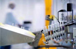 Ấn Độ cho phép thử nghiệm giai đoạn cuối vaccine của hãng Sanofi/GSK