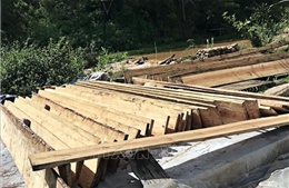 Thu giữ hàng trăm tấm gỗ tàng trữ trái phép ở Lâm Đồng