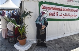 Nhiều nước Bắc Phi đối mặt làn sóng dịch mới