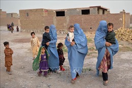Afghanistan kêu gọi châu Âu tạm ngừng trục xuất người tị nạn nước này