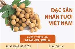 Đặc sản nhãn tươi Việt Nam