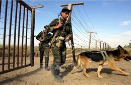 Tajikistan lần đầu diễn tập kiểm tra năng lực sẵn sàng chiến đấu quy mô lớn