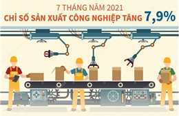 7 tháng năm 2021, chỉ số sản xuất công nghiệp tăng 7,9%