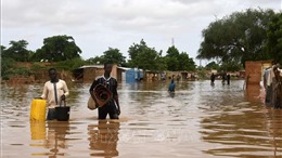 Lũ lụt ở Niger khiến hàng chục người thiệt mạng 