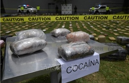 Brazil thu giữ lượng lớn ma túy từ Thổ Nhĩ Kỳ