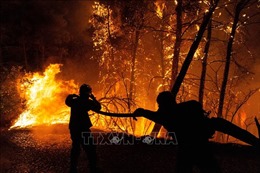 Hy Lạp bắt giữ 3 nghi phạm gây cháy rừng