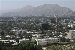 Đại sứ quán Việt Nam tại Pakistan kiêm nhiệm Afghanistan chủ động triển khai công tác bảo hộ công dân