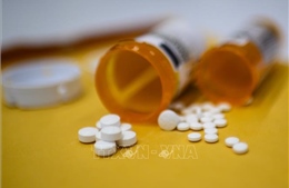 Mỹ: Nhiều bang chưa quyết định tham gia vụ dàn xếp bê bối thuốc giảm đau Opioid