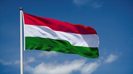 Điện mừng Quốc khánh Hungari