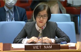 Việt Nam kêu gọi các bên kiềm chế, tập trung đàm phán vấn đề Israel-Palestine