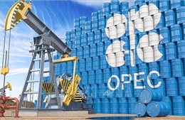 OPEC+ nâng dự báo mức tăng nhu cầu dầu thô trong năm 2022