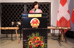 Nhấn mạnh thành tựu hợp tác Việt Nam - Thụy Sĩ sau 50 năm phát triển