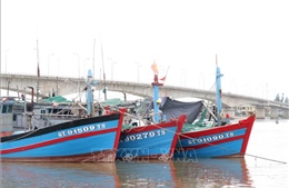 Tất cả chủ tàu thuyền ở Quảng Trị đã nhận được thông tin về bão số 5