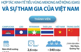 Hợp tác kinh tế tiểu vùng Mekong mở rộng và sự tham gia của Việt Nam