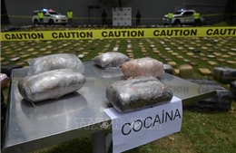 Ecuador thu giữ gần 4 tấn cocaine
