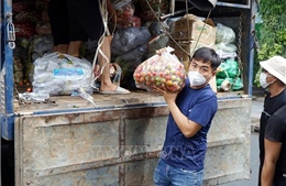 Lâm Đồng hỗ trợ 5.000 tấn nông sản giúp TP Hồ Chí Minh chống dịch