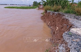 Bến Tre: Khẩn trương khắc phục sạt lở bờ sông tại khu vực cồn Phú Đa