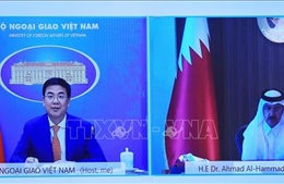 Không để đại dịch COVID-19 trở thành rào cản đối với hợp tác Việt Nam - Qatar