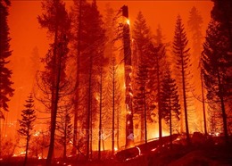 Cháy rừng lan rộng tại bang California (Mỹ)