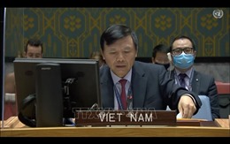 Việt Nam lấy làm tiếc về quyết định của Ethiopia trục xuất các quan chức LHQ