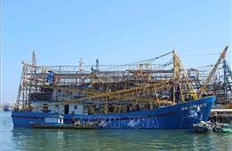 Quảng Nam: Còn 100 tàu cá chưa lắp đặt giám sát hành trình