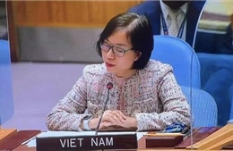 Việt Nam đề cao tầm quan trọng của phổ cập vaccine ngừa COVID-19 trong tình hình &#39;bình thường mới&#39;