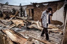 Tấn công bạo lực ở Nigeria, 43 người thiệt mạng