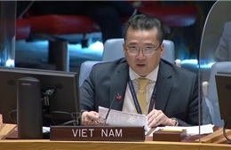 Việt Nam chia sẻ quan ngại tình hình ở khu vực Các Hồ Lớn tại châu Phi
