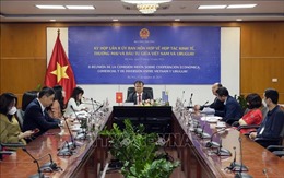 Việt Nam-Uruguay cùng thúc đẩy hợp tác kinh tế
