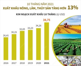10 tháng năm 2021: Xuất khẩu nông, lâm, thủy sản tăng hơn 13%