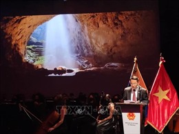 Các hoạt động ngoại giao văn hóa kỷ niệm 32 năm quan hệ Việt Nam-Venezuela