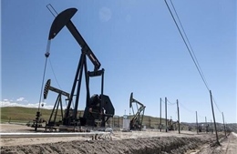 OPEC dự báo về nhu cầu dầu vào năm 2022