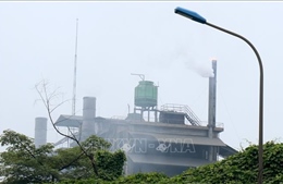 Cây trồng bị cháy lá tại Lào Cai: Xuất phát từ sự cố về công nghệ của Nhà máy DAP số 2