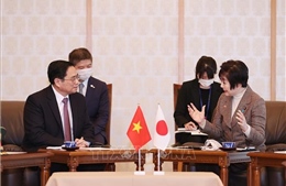 Thủ tướng Phạm Minh Chính hội kiến Chủ tịch Thượng viện và Hạ viện Nhật Bản