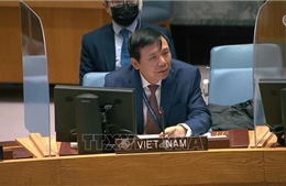 Việt Nam và HĐBA: Việt Nam quan ngại về khủng hoảng ở Liban