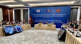 Việt Nam đồng chủ trì Phiên họp trực tuyến 15 Nhóm chuyên gia gìn giữ hòa bình 